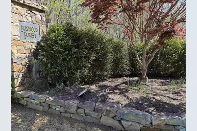 4225 Woodthrush Ln, Barboursville, VA 22923 - Photo 60