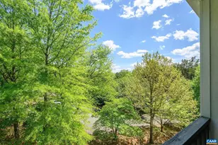 1243 Cedars Ct, Charlottesville, VA 22903 - Photo 8
