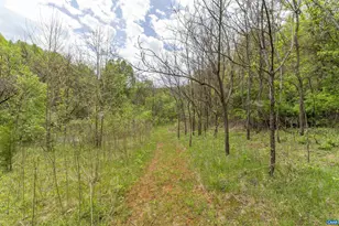 3898 Vineyard Rd, Barboursville, VA 22923 - Photo 50