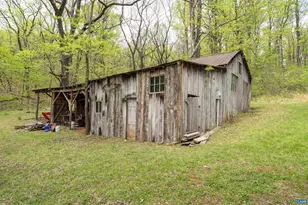 3898 Vineyard Rd, Barboursville, VA 22923 - Photo 46