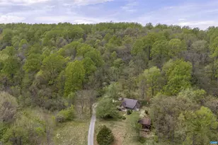 3898 Vineyard Rd, Barboursville, VA 22923 - Photo 44
