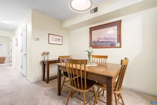 103 Turtle Creek Rd, Charlottesville, VA 22901 - Photo 10
