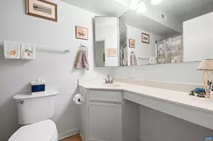 103 Turtle Creek Rd, Charlottesville, VA 22901 - Photo 18