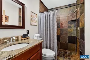 952 Blue Ridge Dr, Wintergreen Resort, VA 22967 - Photo 46