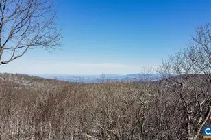 42 Peavy Point, Wintergreen, VA 22967 - Photo 62