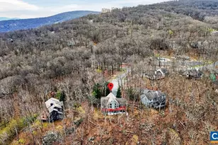 42 Peavy Point, Wintergreen, VA 22967 - Photo 68