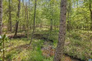 2947 Merrie Meadows Ln, Keswick, VA 22947 - Photo 24