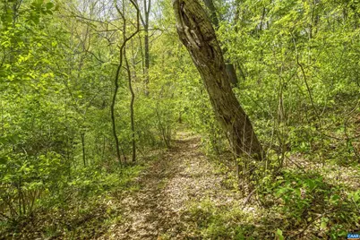 7530 Damon Rd, Schuyler, VA 22969 - Photo 60