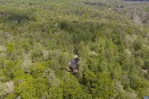 7530 Damon Rd, Schuyler, VA 22969 - Photo 66