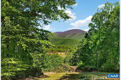 93 Honey Locust Ln, Nellysford, VA 22958 - Photo 58