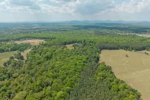6999 Blenheim Rd, Scottsville, VA 24590 - Photo 38