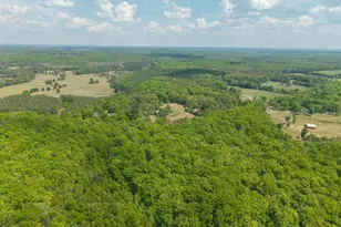 6999 Blenheim Rd, Scottsville, VA 24590 - Photo 32