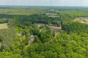 6999 Blenheim Rd, Scottsville, VA 24590 - Photo 30