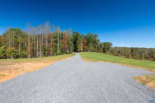 7337-4B Dick Woods Rd, Afton, VA 22920 - Photo 34