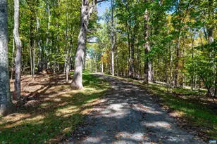 7337-4B Dick Woods Rd, Afton, VA 22920 - Photo 26