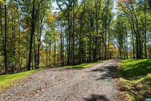 7337-4B Dick Woods Rd, Afton, VA 22920 - Photo 36