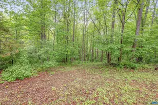 1621 Shady Grove Ct, Charlottesville, VA 22902 - Photo 46