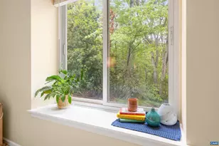 1621 Shady Grove Ct, Charlottesville, VA 22902 - Photo 22