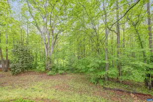 1621 Shady Grove Ct, Charlottesville, VA 22902 - Photo 42
