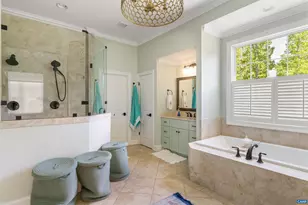 421 Houndstooth Ct, Charlottesville, VA 22901 - Photo 28