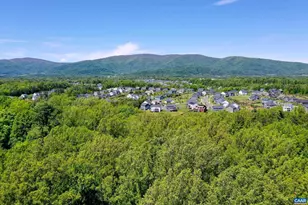 725 Lenox Hill Road, Charlottesville, VA 22903 - Photo 68