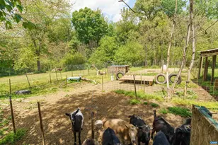 418 James River Rd, Scottsville, VA 24590 - Photo 56