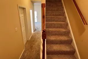 4644 Briarwood Dr, Charlottesville, VA 22911 - Photo 20