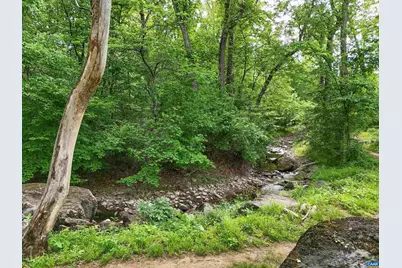6694 Welbourne Ln, Crozet, VA 22932 - Photo 66