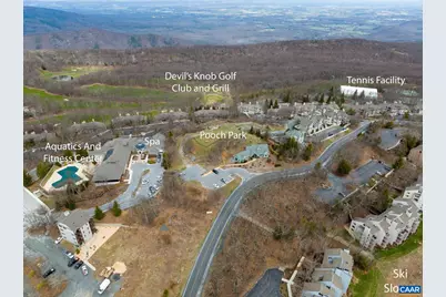 67 S Forest Dr, Wintergreen Resort, VA 22967 - Photo 44