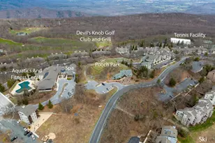 67 S Forest Dr, Wintergreen Resort, VA 22967 - Photo 44