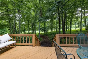 67 S Forest Dr, Wintergreen Resort, VA 22967 - Photo 34
