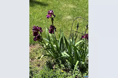 1333 Auburn Dr, Charlottesville, VA 22902 - Photo 2