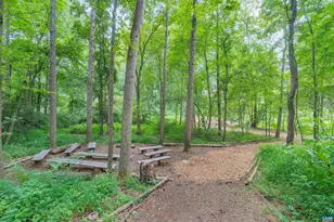 1708 Vermira Pl, Charlottesville, VA 22901 - Photo 36