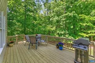 1530 Running Cedar Ct, Charlottesville, VA 22911 - Photo 42