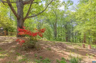 826 Beagle Gap Rd, Crozet, VA 22932 - Photo 6