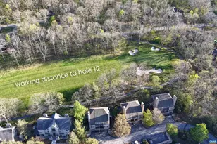 17 Ivy Glen Ln, Wintergreen Resort, VA 22967 - Photo 58