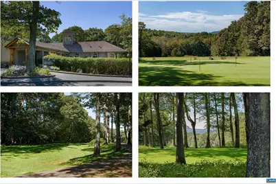 17 Ivy Glen Ln, Wintergreen Resort, VA 22967 - Photo 62