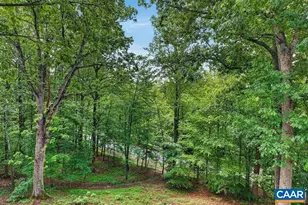 220 Saddleback Knoll, Nellysford, VA 22958 - Photo 38
