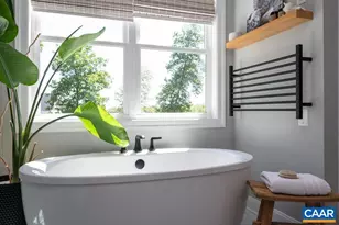 6574 Dick Woods Rd, Charlottesville, VA 22903 - Photo 34