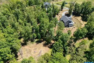 6574 Dick Woods Rd, Charlottesville, VA 22903 - Photo 62