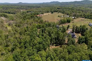 6574 Dick Woods Rd, Charlottesville, VA 22903 - Photo 64