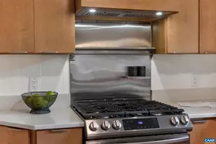 1408 Baker St, Charlottesville, VA 22903 - Photo 14