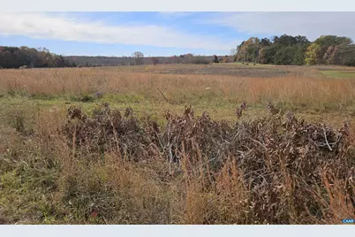 5.3 Ac W James Anderson Hwy, Buckingham, VA 23921 - Photo 6
