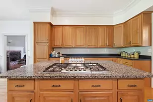 3182 Wallingford Ln, Keswick, VA 22947 - Photo 22