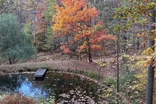 270 Little Cabin Rd, Amherst, VA 24521 - Photo 46