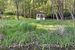 2434 Stagebridge Rd, Lovingston, VA 22949 - Photo 60