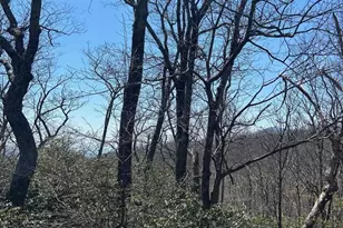 30 Gumtree Dr, Wintergreen Resort, VA 22967 - Photo 56