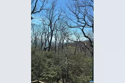30 Gumtree Dr, Wintergreen Resort, VA 22967 - Photo 6