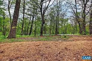 2231 Tanners Ridge Condos, Wintergreen, VA 22967 - Photo 6