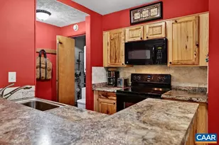 2231 Tanners Ridge Condos, Wintergreen, VA 22967 - Photo 10